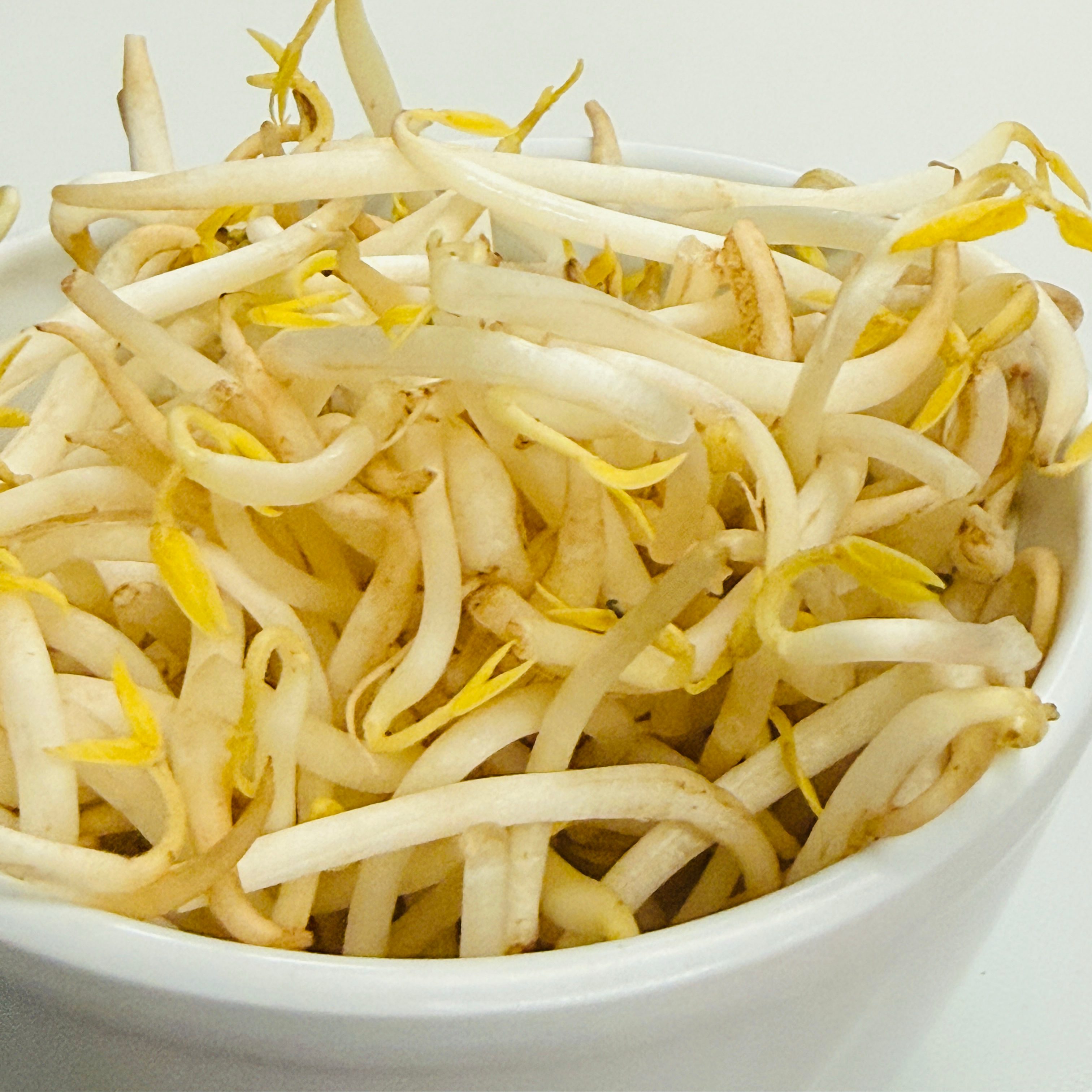 Extra Bean Sprouts.
